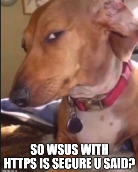 A dachshund looking sceptically at the camera, captioned with the text 'So WSUS with HTTPS is secure u said?'